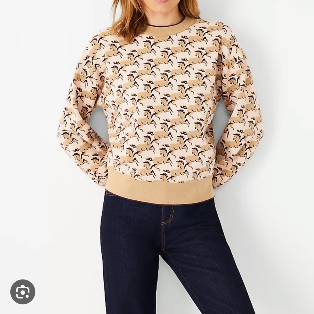 Ann Taylor Horse Print Sweater